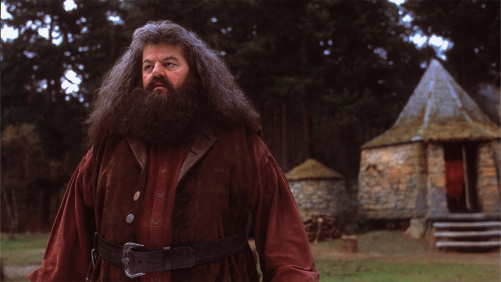 Robert Coltrane Well Known for the Role of “Hagrid in Harry Potter” Passed Away