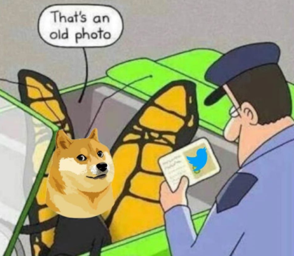 Elon Musk Replaced the Blue Bird Logo of Twitter with Doge Meme