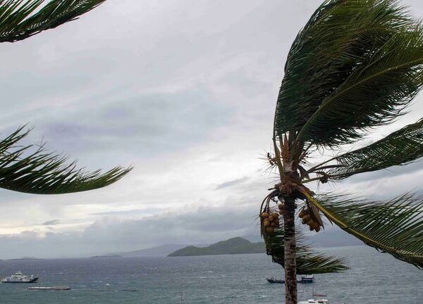 Cyclone Chido Wreaks Havoc in Mayotte and Mozambique