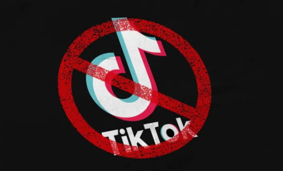 Why Countries Are Banning TikTok One After Another